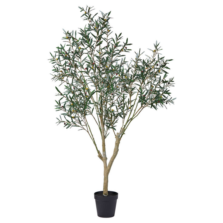 オリーブ(ポット付)A-51126