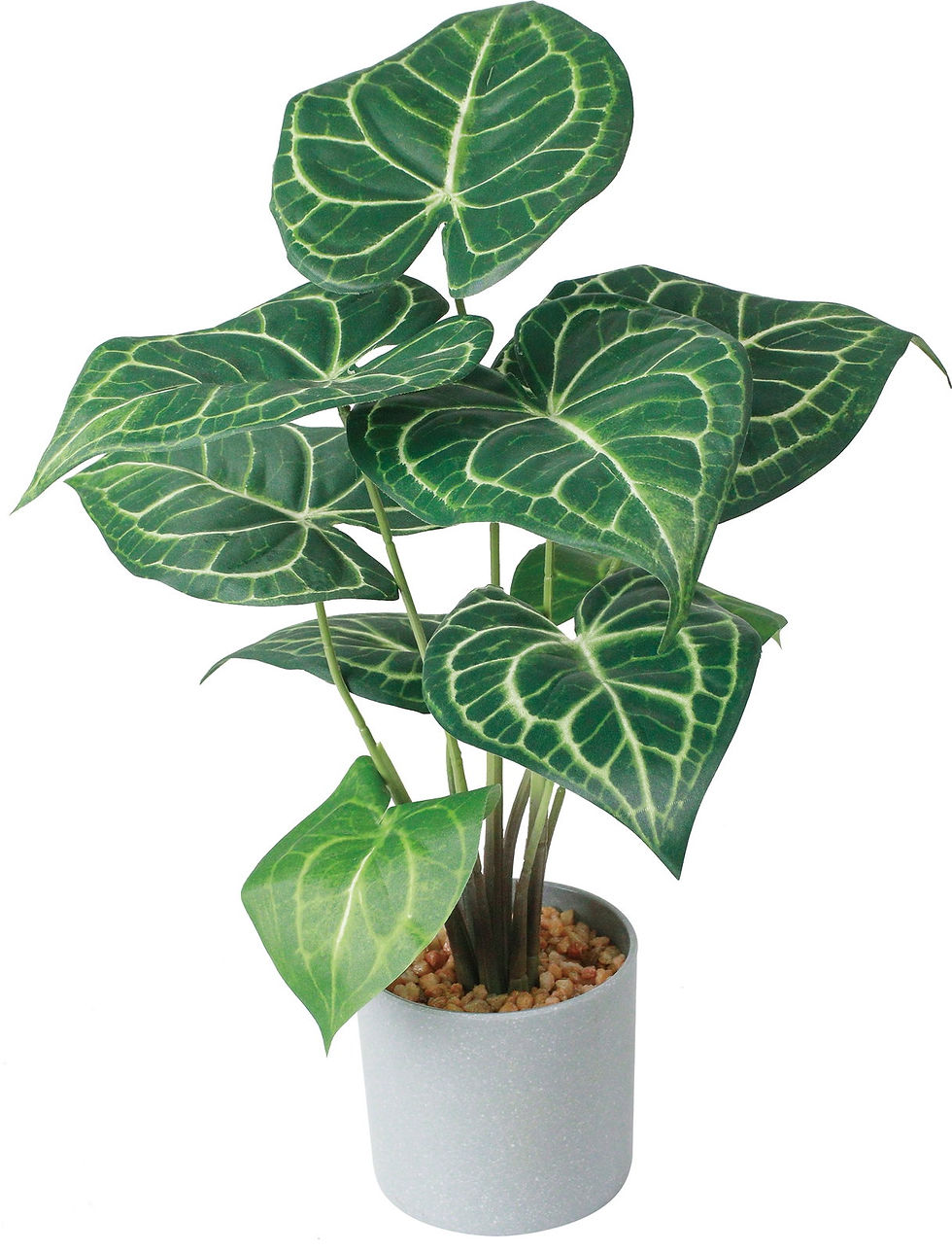 クラリネルビウムセメントポット GLA-1555