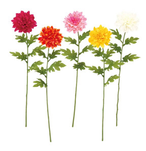 ５色のダリア(ピンク/イエロー/ホワイト系) FLS-5320 PK/YL/WH