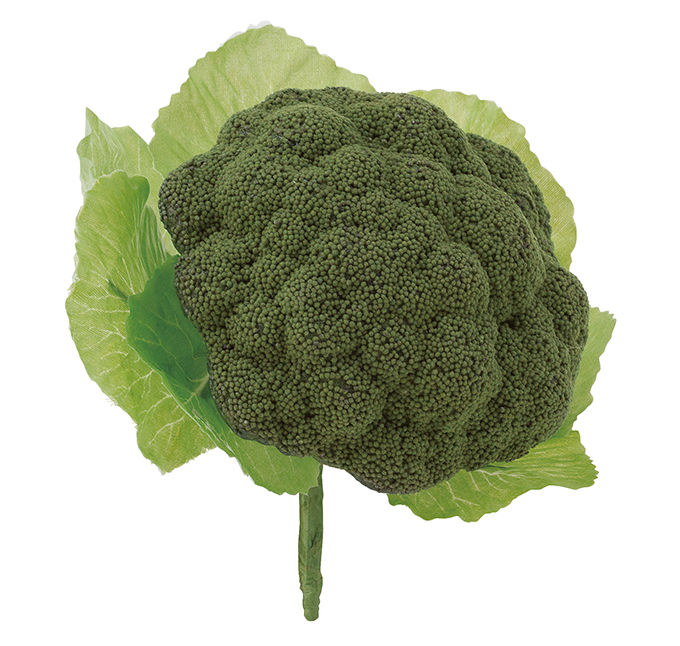 ブロッコリー（4ケ/パック） VF*-1270