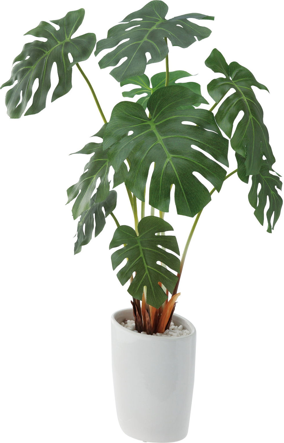 ロングモンステラオーバルポット GLA-1228