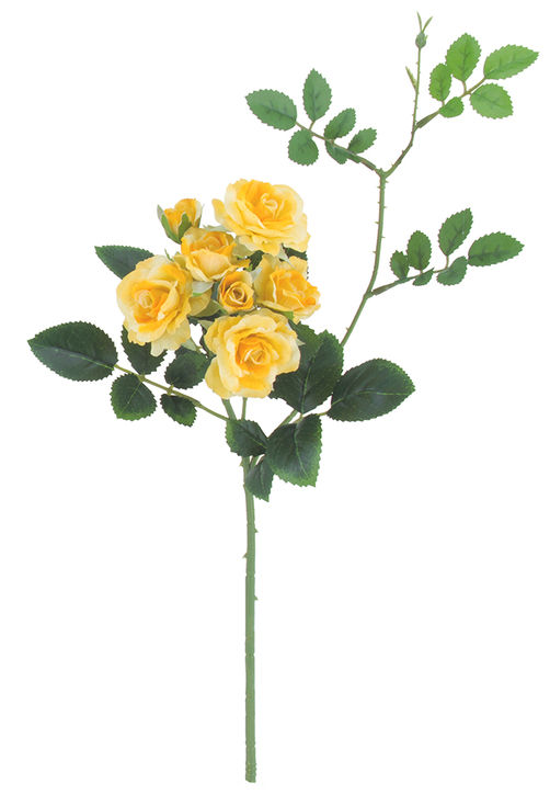 バレッタローズ(プレミアムイエロー) FLS-5355