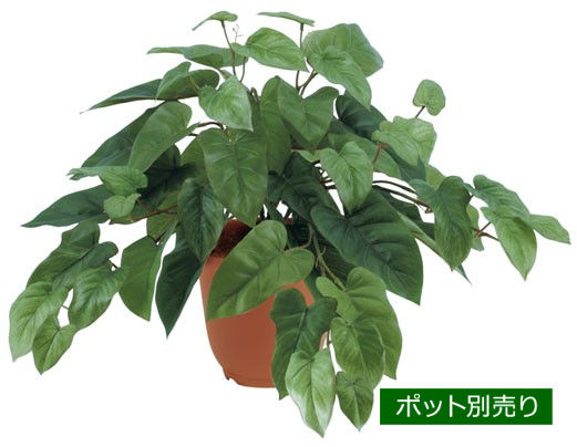 フィロブッシュ LEB-8100