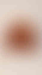 オータムアイビーブッシュと実物の籠アレンジ