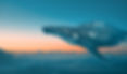 Whales Family, baby and mother in The Sky.jpg