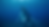 Screenshot 2025-08-22 at 9.22.25 AM.png