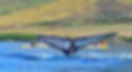 Screenshot 2025-08-22 at 12.10_edited.jpg