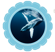 Screenshot 2025-08-23 at 10.17.30 PM.png