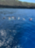 Screenshot 2025-08-21 at 6.52.52 PM.png