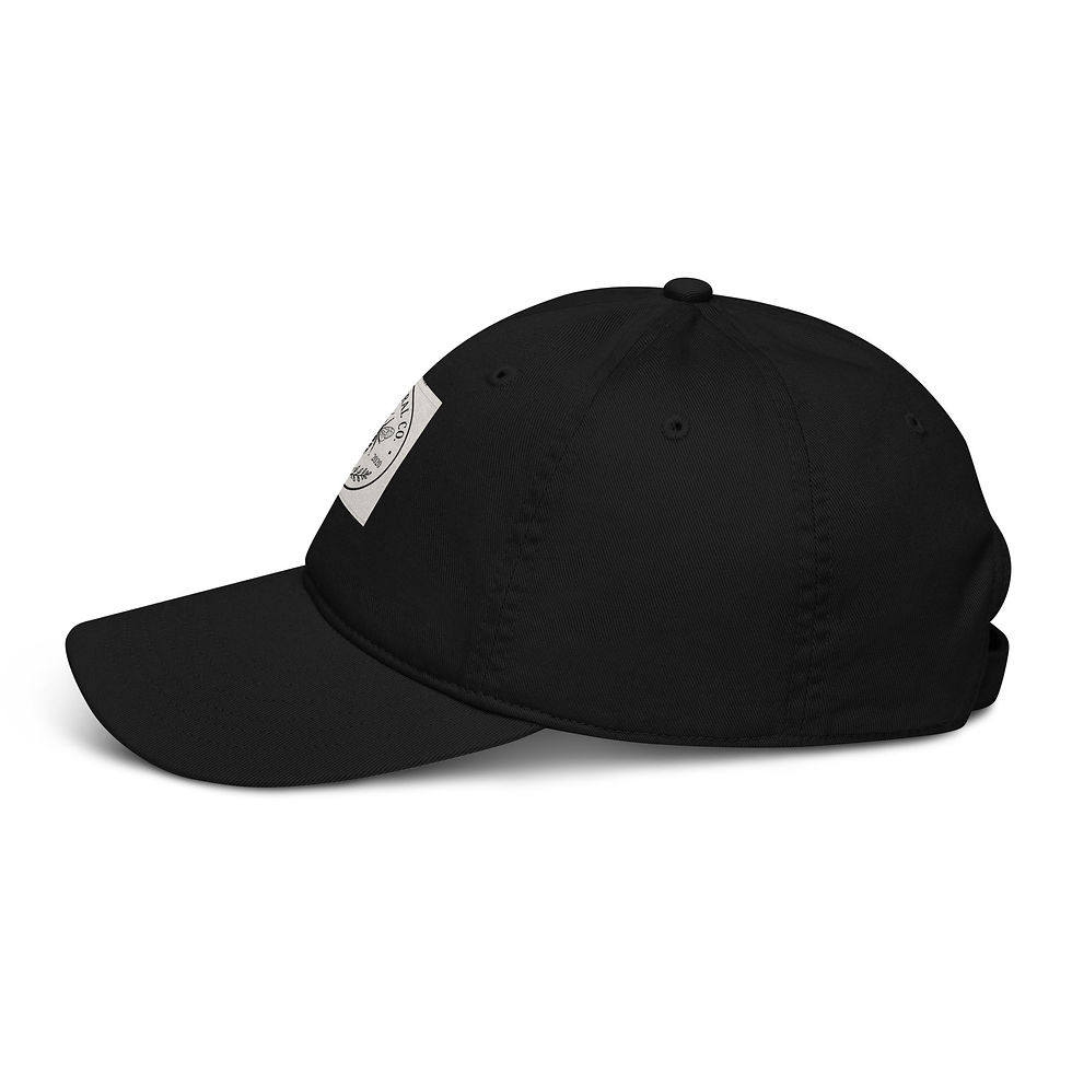 Thumbnail: Organic dad hat