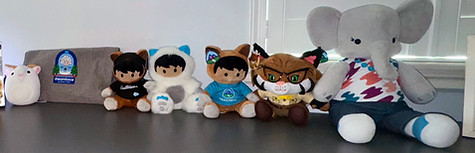 Salesforce Swag Collection