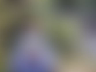 Frog routes, polka dot newts...