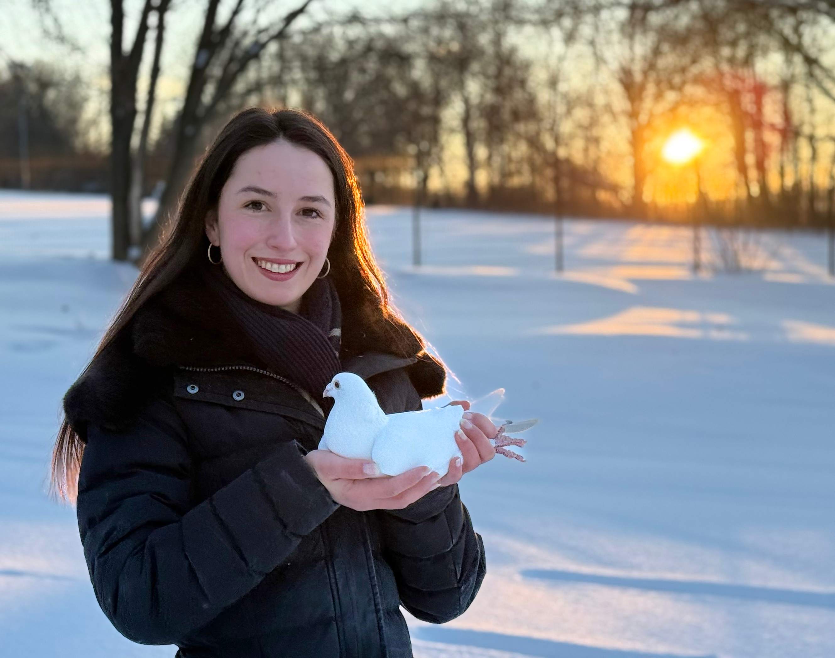 Autorenbild: Hannah's Pigeons