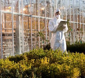 Scientist in Greenhouse