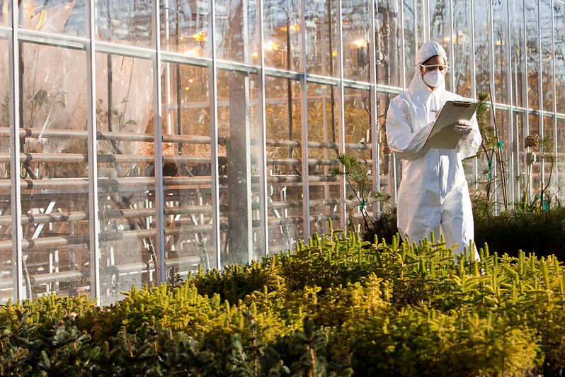 Scientist in Greenhouse