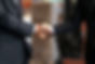 Handshake