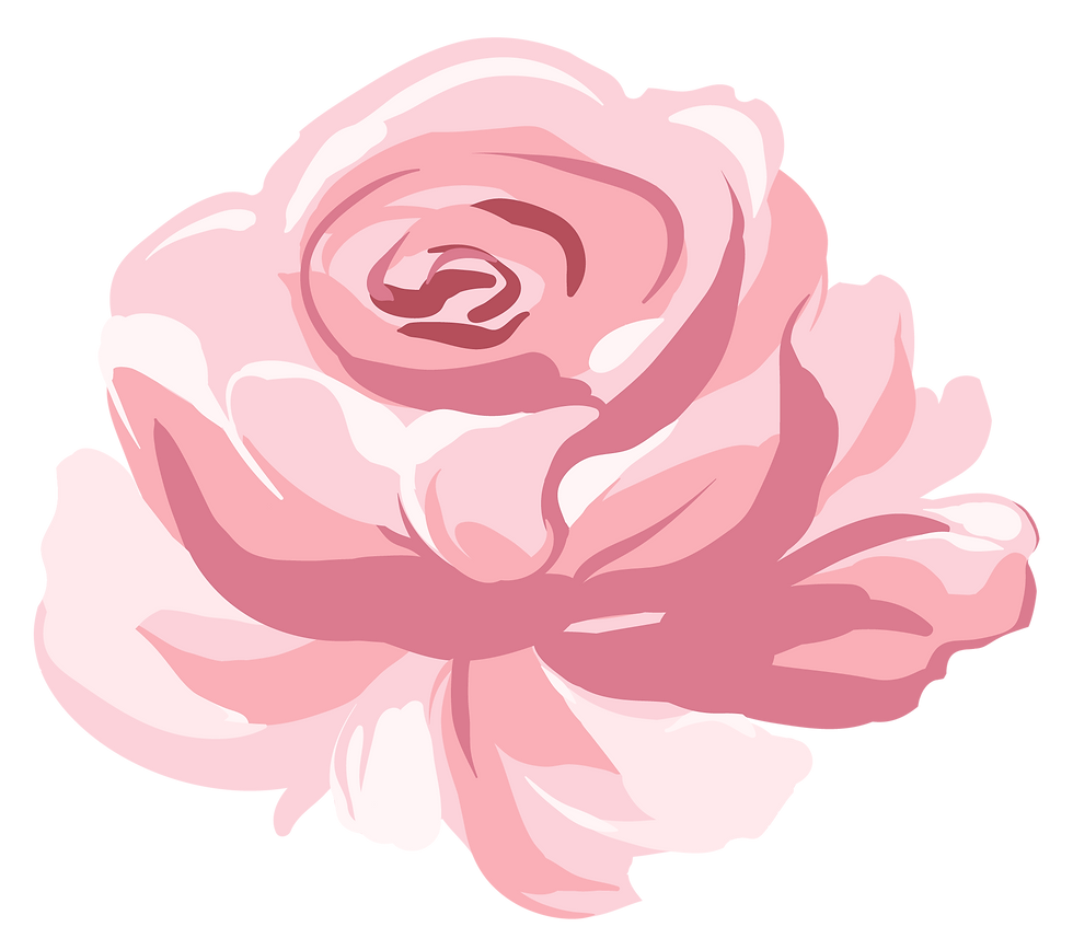 Illustration de la rose rose