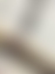 Bible study week: Luke 16