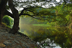 Lago remoto