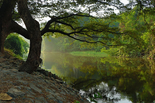 Remote Lake