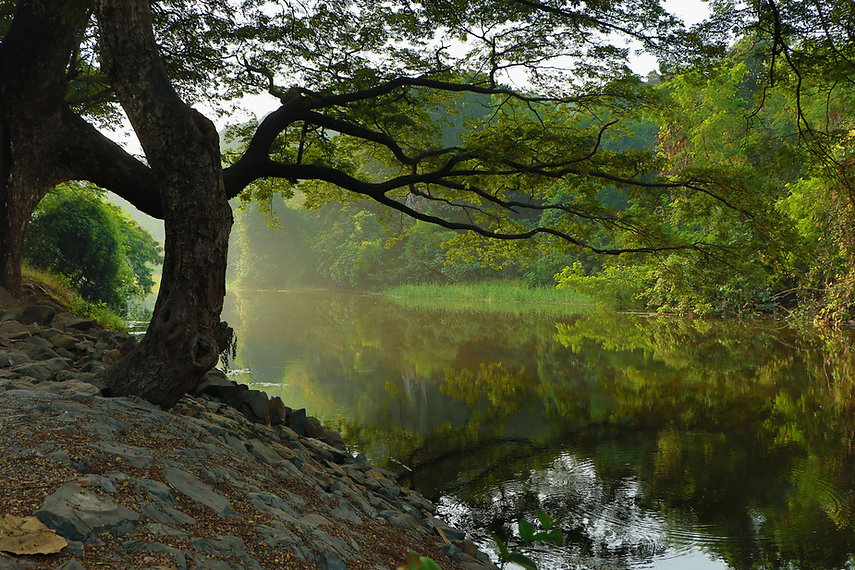 Remote Lake