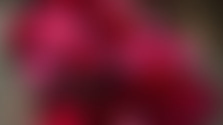 Red Roses? It must be Valentine’s featuring Floristry Tips from Su Whale