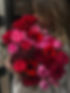 Bunch of roses