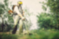 Gardener mows with string trimmer
