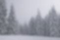 Snowy Day
