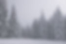 Snowy Day