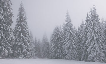 Snowy Day