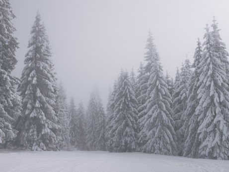 SCHOOL CLOSED 09/01/2026