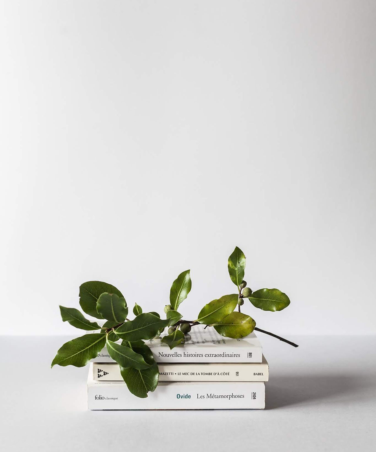 Books and Branch