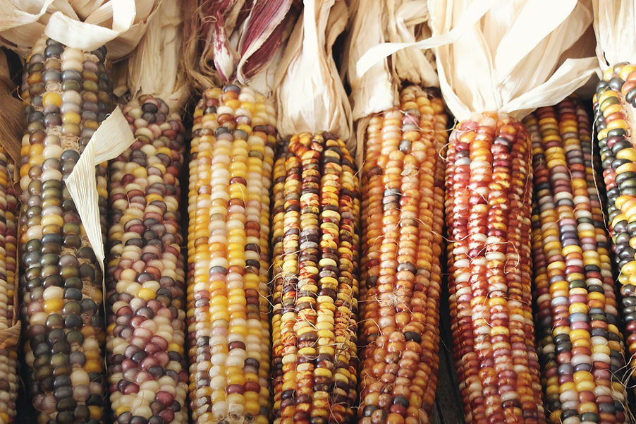 Peeled Corn