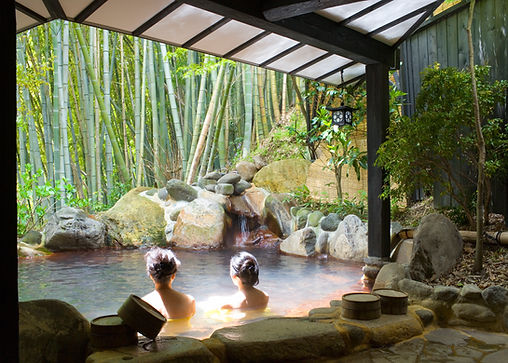 Natural swimming pools Verde South west