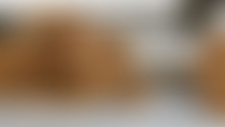 Are Modular Builds Viable for Retail and Restaurant Use?