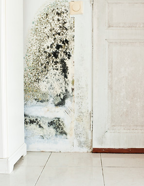 Mould Growth on Wall and Damp Stained Wood Door