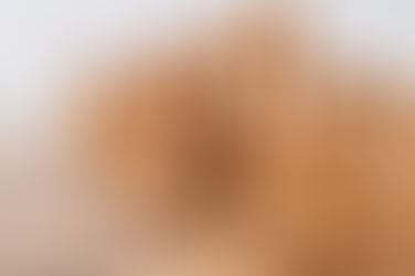 Content Strategy for Rehab Facility Websites