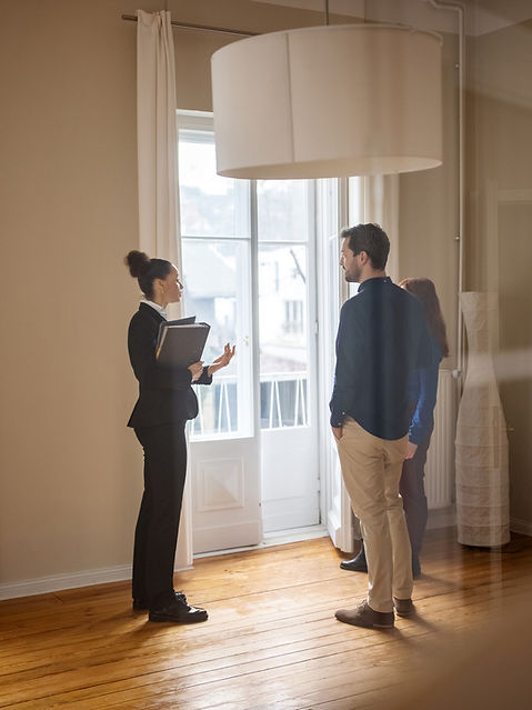 Real Estate Consultation