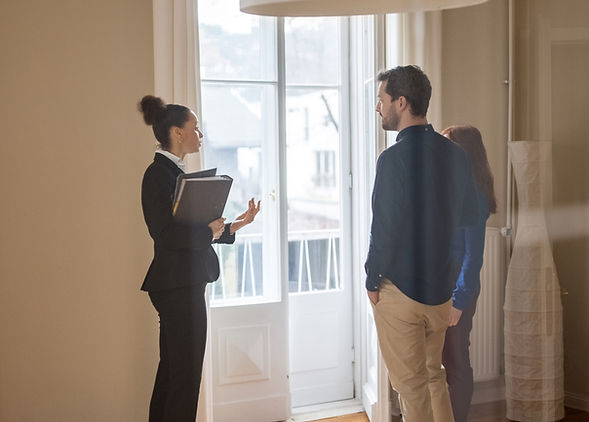 Real Estate Consultation
