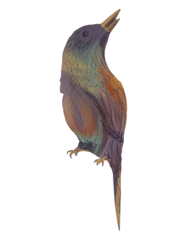 Bird in branches