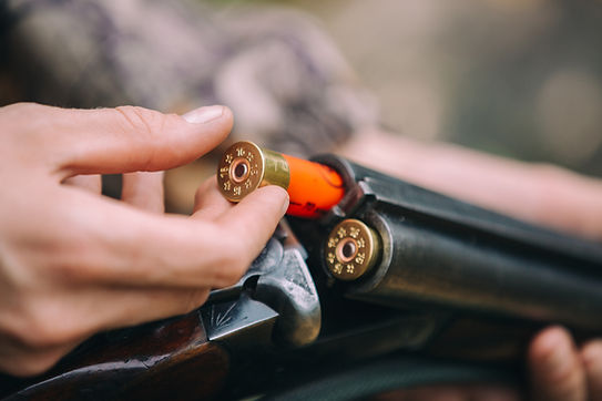 Shotgun Shells