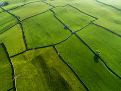 Communiqué - Mise au point sur la certification Halal Grande Mosquée de Paris des produits européens importés en Algérie