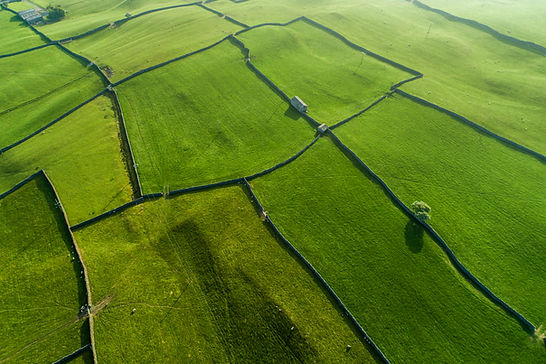 Campos de vista aérea