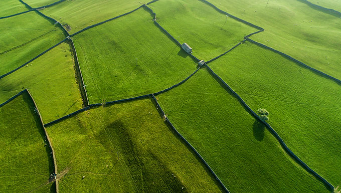 Satellite Earth Observation (EO) Data has emerged as a game-changer in accurately assessing plant biodiversity and ecosystem functions within agricultural landscapes, spanning both grassland and arable terrains...