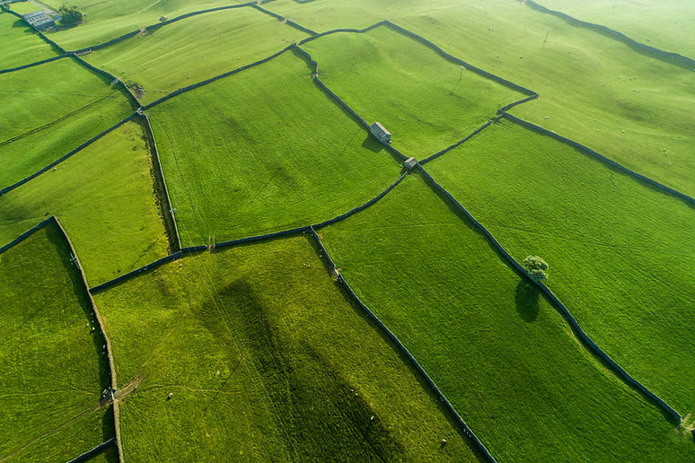 Campos de vista aérea