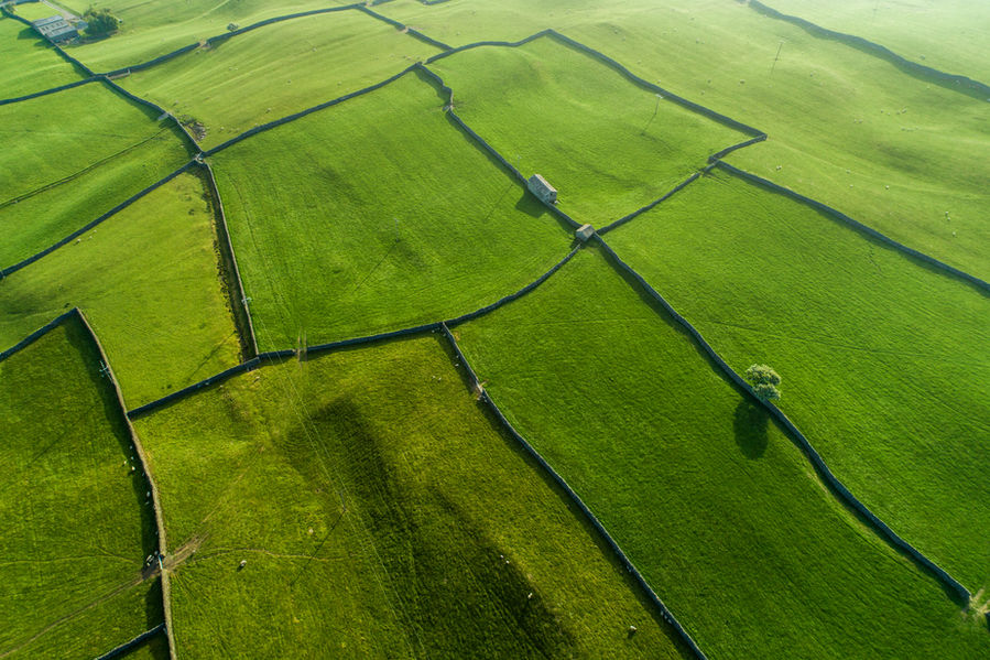 A drone photo of green fields of the farm site