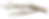 Brown Tree Branch