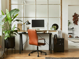 Homeoffice y el trabajo virtual. Ventajas y desventajas. ¿Cómo optimizar el rendimiento?