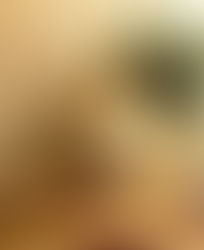 Eggs, bread and flowers on a counter by a window in a room.